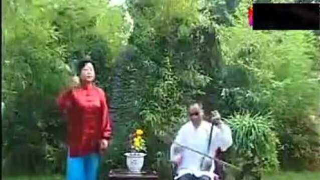 河南坠子 《武松打店》郭永章演唱,听的真过瘾!