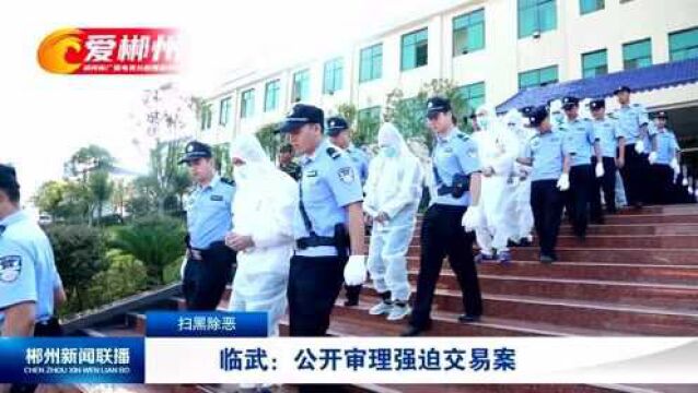 扫黑除恶 临武:公开审理强迫交易案