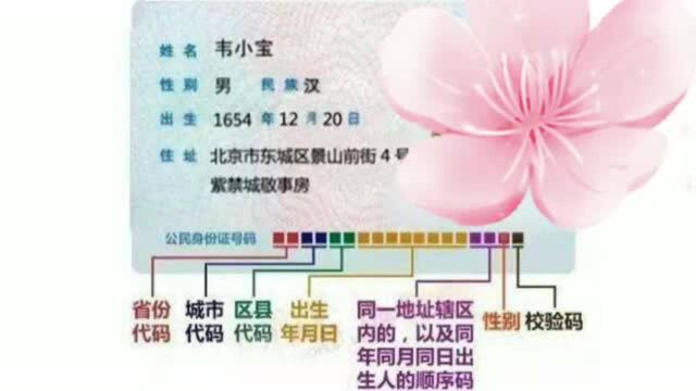 身份证上的18位数字各有什么含义?好多人都不清楚,长知识了