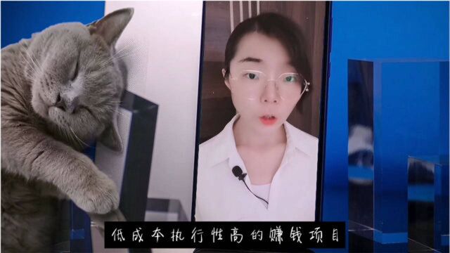 低成本,执行性高的,赚钱项目