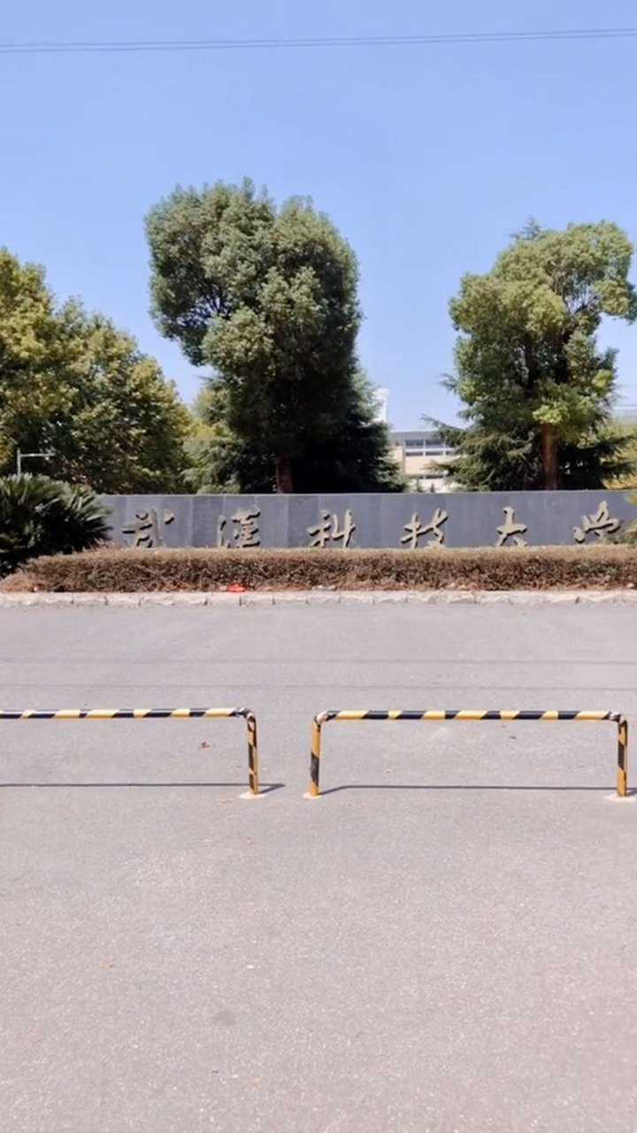 武汉科技大学黄家湖校区南门黄家湖四街对面是福星惠誉东澜岸商业街