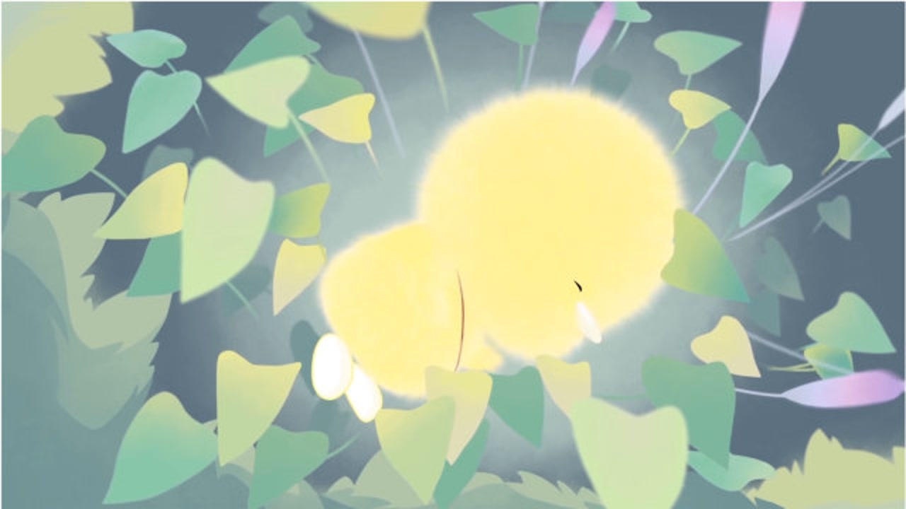 小鸡彩虹小黄终于被找到原来藏着睡觉呢