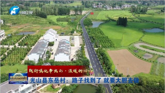 光山县东岳村:路子找到了 就要大胆去做