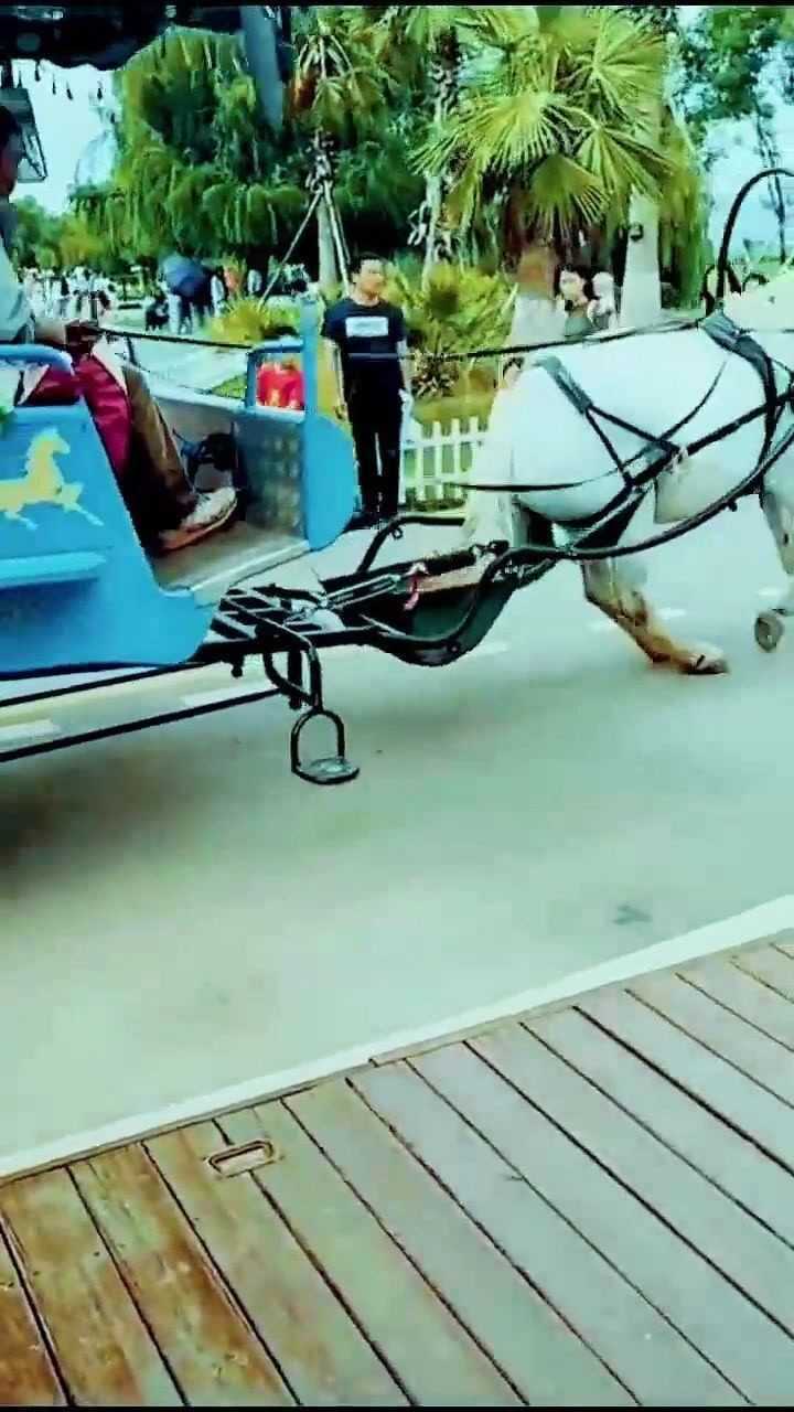 所谓的小马拉大车，原来就是这个意思，这下就明白了_高清