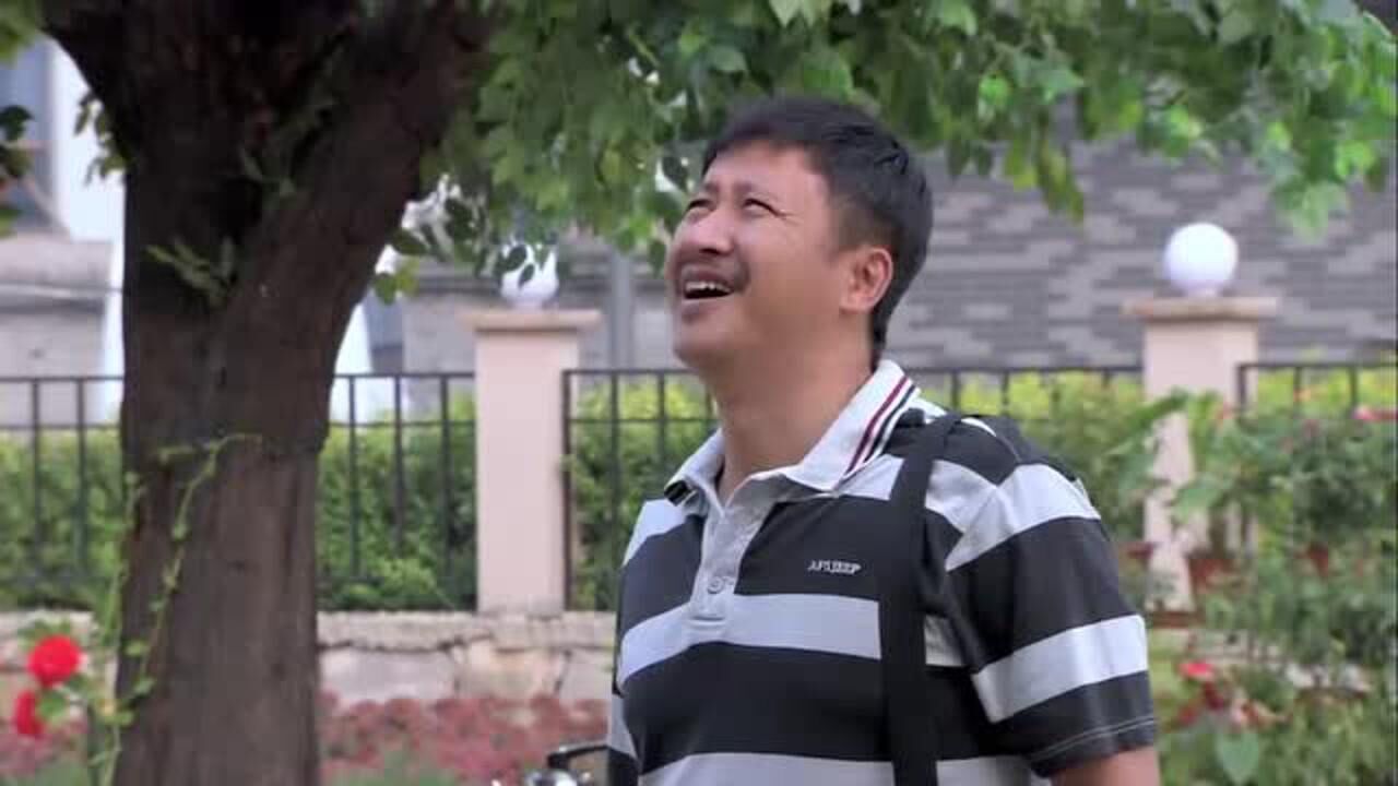 麻辣芳邻老杨的内心有点纠结因为杨过上了吴维的车子