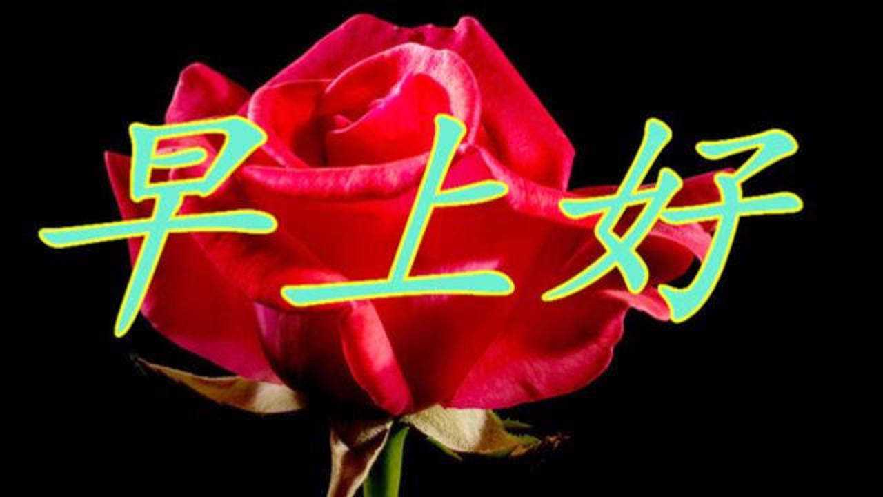 7月21日早上好莫生气莫生气忍不住生气的时候就听听吧