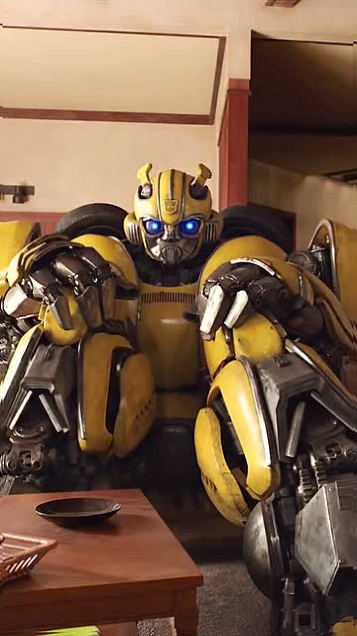 大黄蜂就是那么呆萌