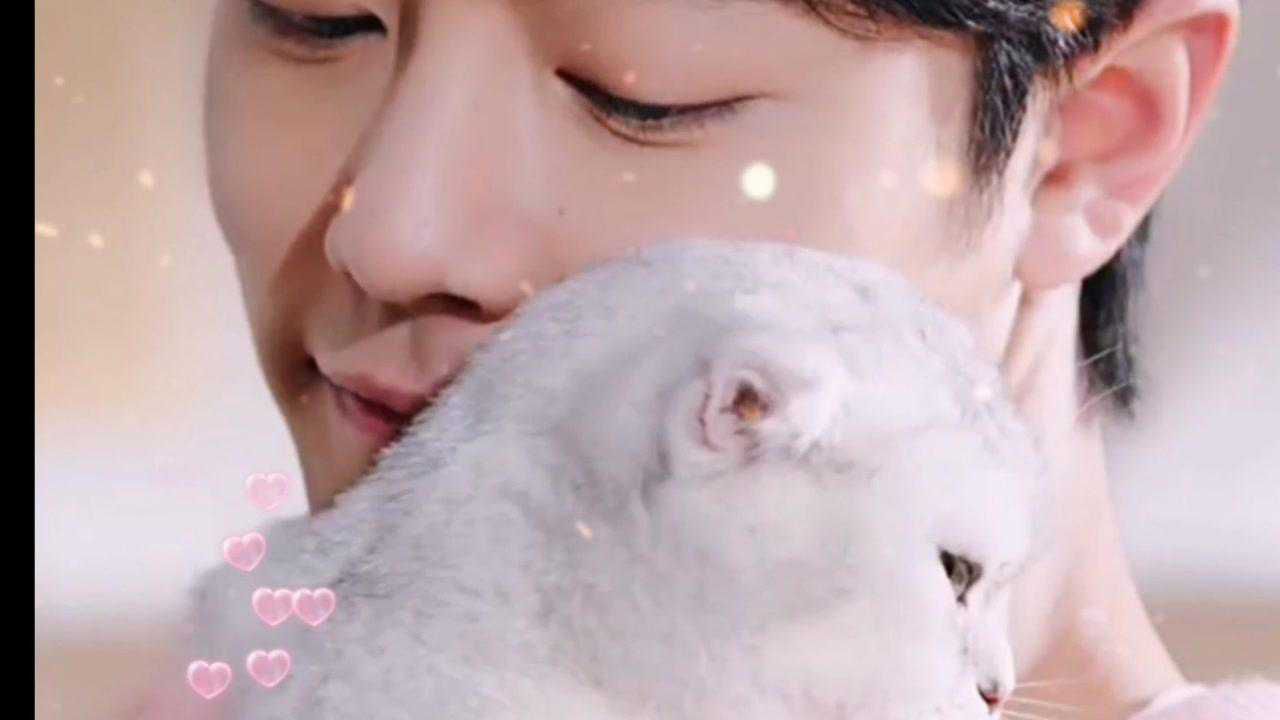 肖战#  肖战笑容杀来咯,温暖治愈!