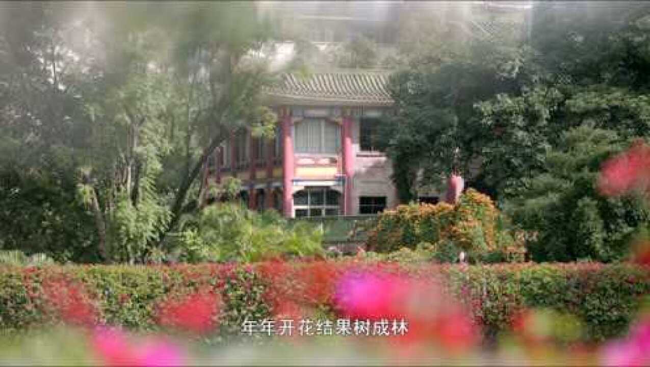 感动中国——诚信之歌_高清