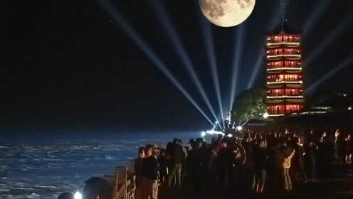 钱塘江畔升明月，占鳌塔下看夜潮，圆月与飞鸟相映成画