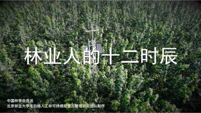 带你看林业人扎根科研基地的日常一天!