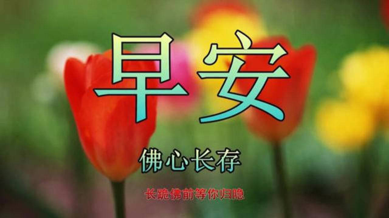 佛诞日早上好图片