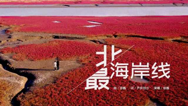 《情定红海滩》发布主题曲《最北海岸线》,盘锦音乐人徐巍献唱!