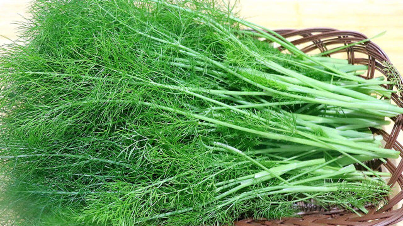 姥姥告诉我茴香老一辈做法,一次做1大捆,简单味道足,确实好吃