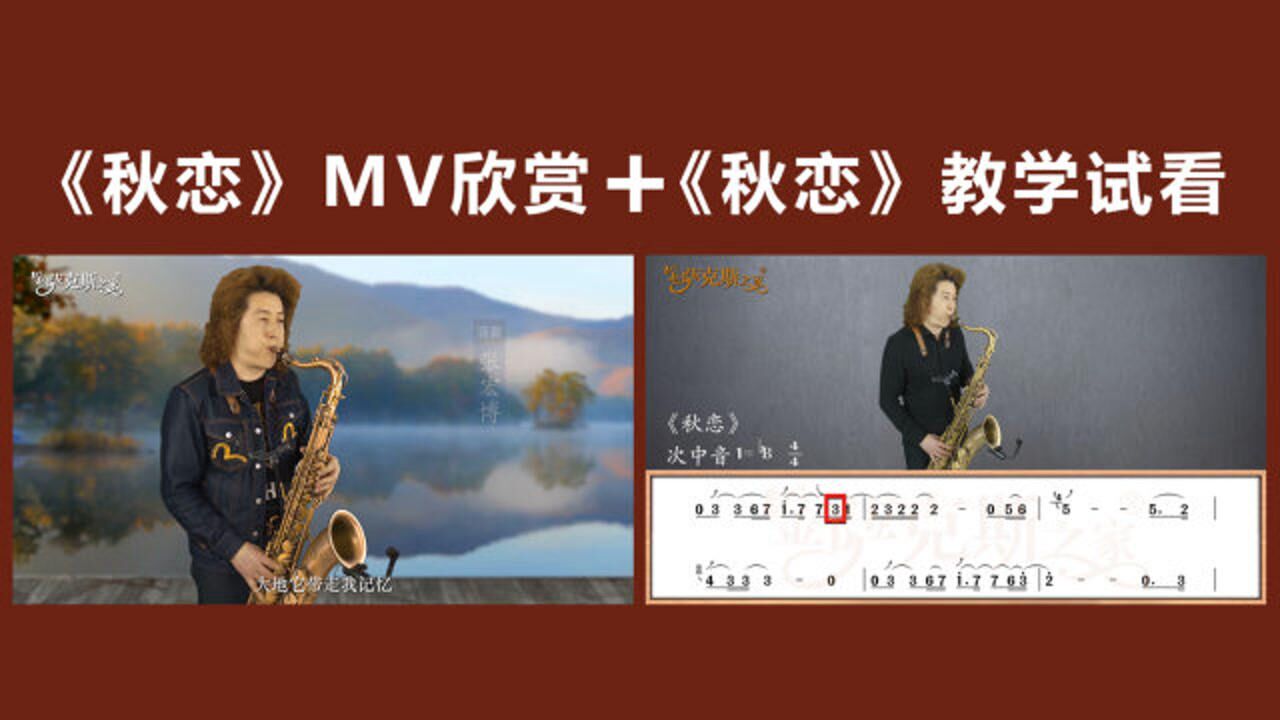 流行金曲《秋恋》,萨克斯版深情悠扬,mv欣赏 逐句讲解试看!