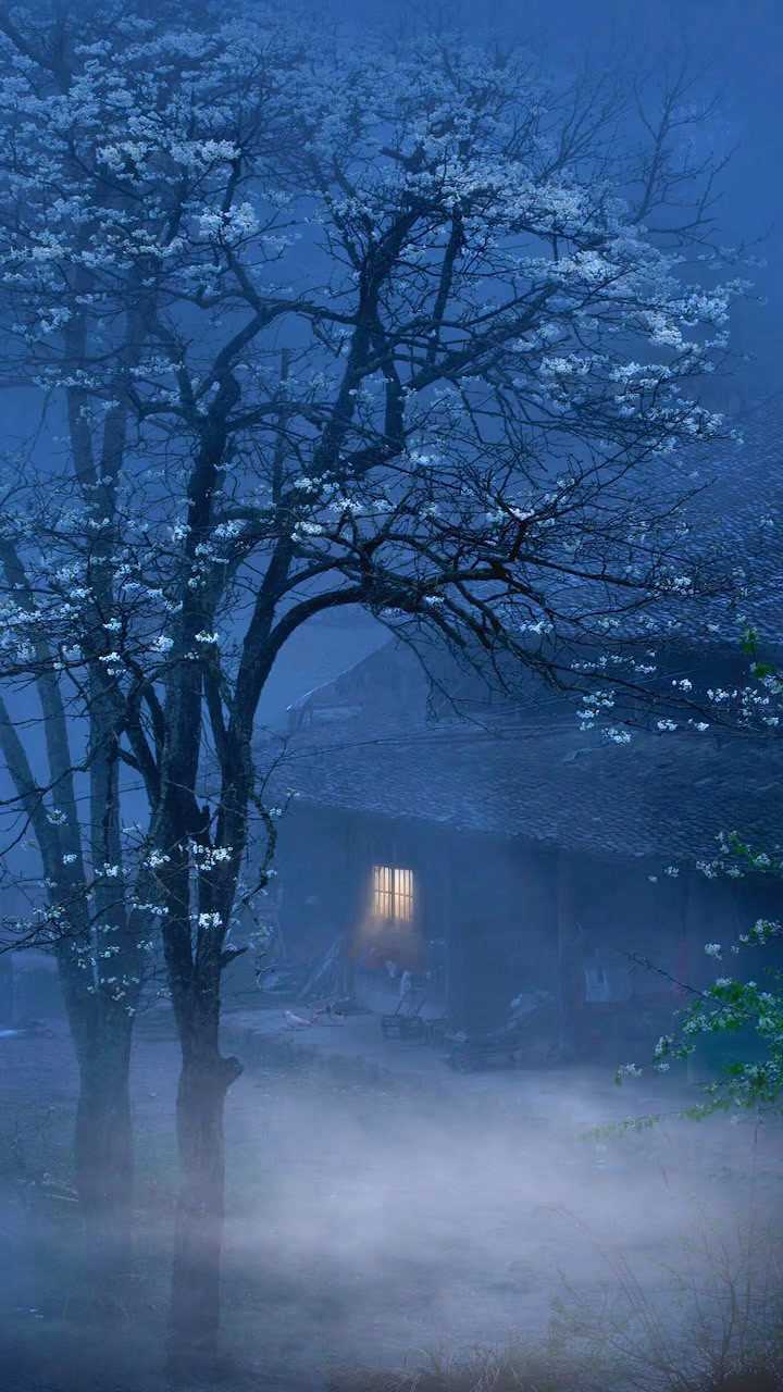 待我了无牵挂,从此归隐天涯,深山老屋为家,远离尘世繁华