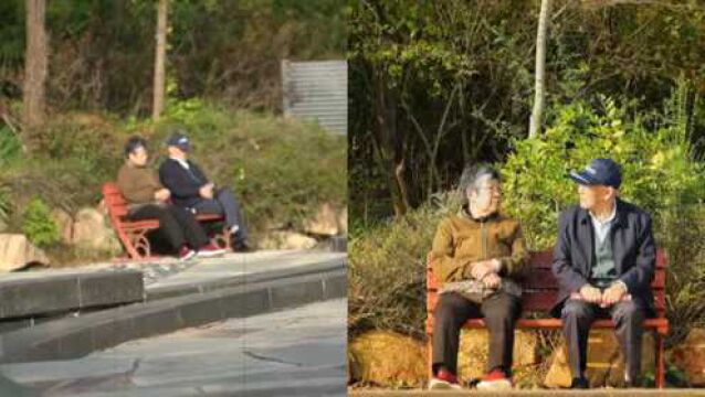 恩爱老夫妻路边椅子休息,温馨画面被过路男子拍下,网友:羡慕