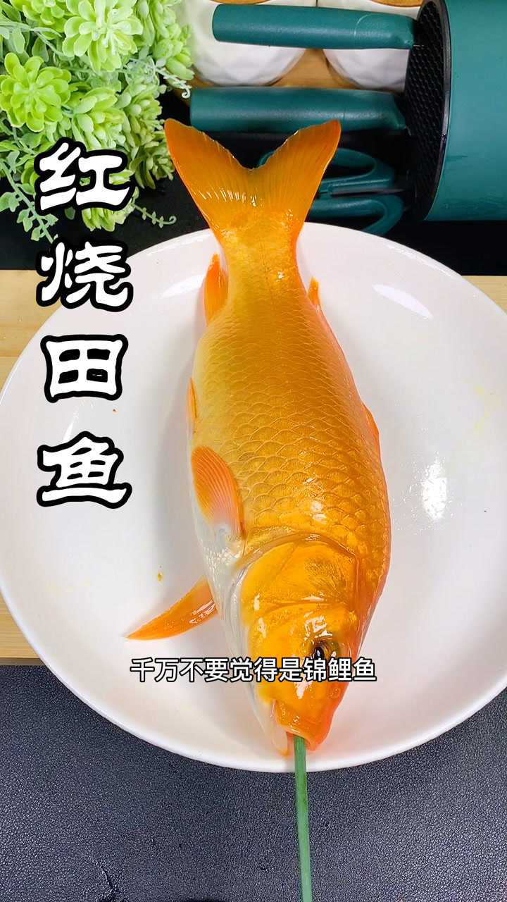 温州楠溪江田鱼历史悠久味美性和肉细鳞片软是我们最爱的淡水鱼