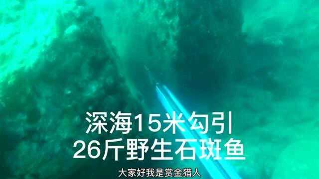 深海15米,勾引野生珍珠龙胆石斑鱼,26斤