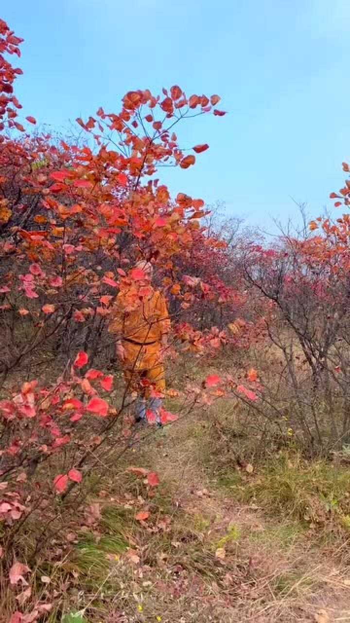 用心做了,無論輸贏都是精彩!