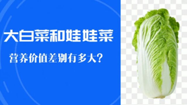 大白菜和娃娃菜,在营养价值上有啥不同?咋做就好吃?