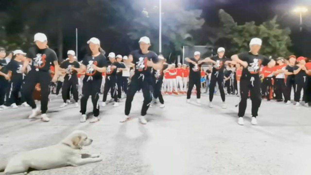 鬼步舞6个基本动作,最火鬼步舞也疯狂-鬼步舞教学基础舞步