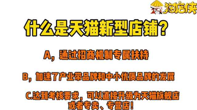 天猫新型店铺考核标准及入驻条件?