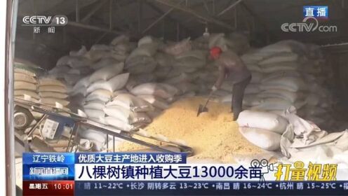 辽宁铁岭：优质大豆主产地进入收购季，亩产达400斤