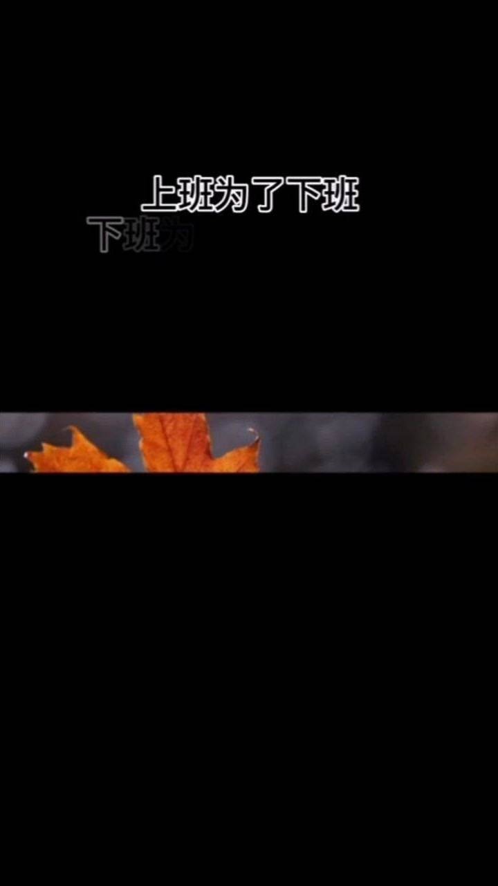 上班为了下班下班为了第二天上班日复一日慌慌张张不过是为了碎银几两