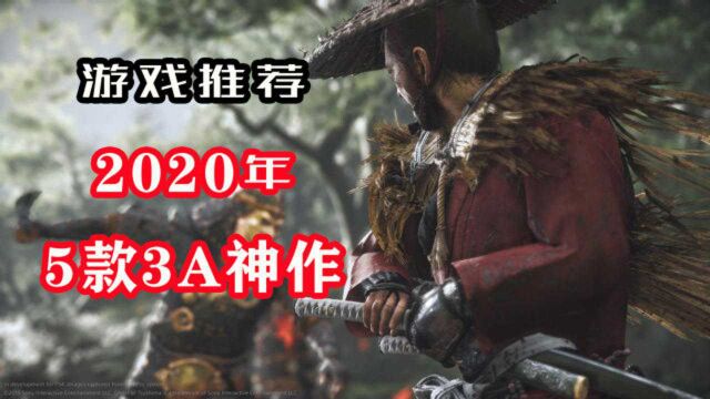 2020年全球期待榜5款3A极品游戏,游戏荒解药