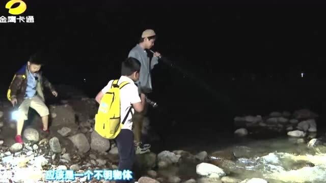 童趣大冒险:夜访山林,偶遇不明生物