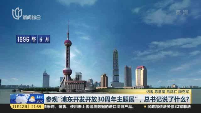 参观“浦东开发开放30周年主题展”,总书记说了什么?