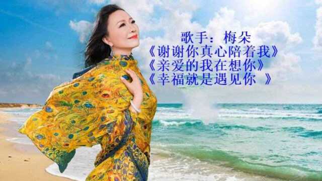 梅朵串烧曲《谢谢你真心陪着我+亲爱的我在想你+幸福就是遇见你》