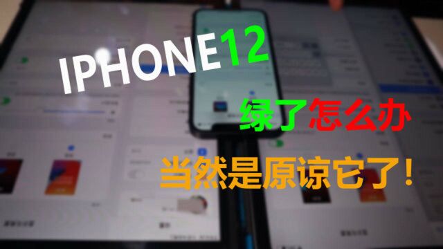 「IPHONE12MINI」新手机的屏幕发绿,室友表示能接受