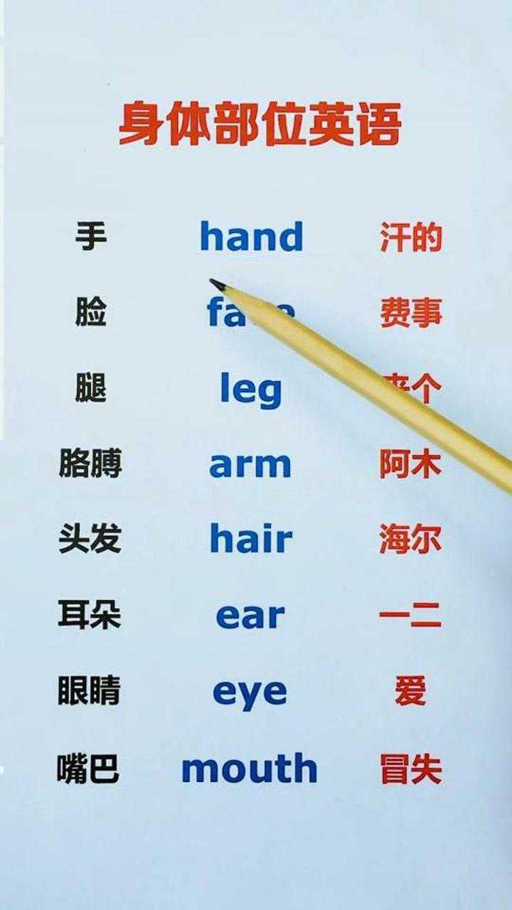 各个身体部位该用英语怎么读你学会了吗