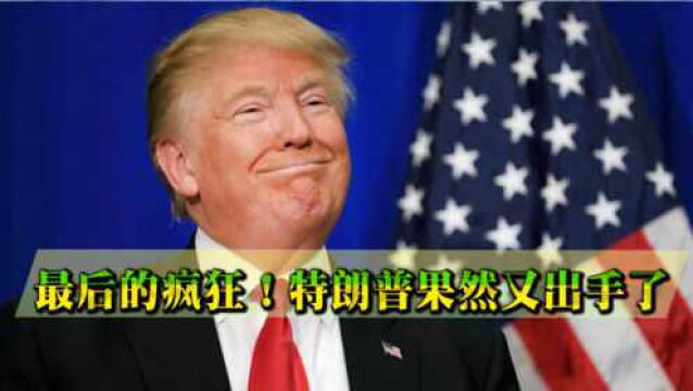 最后的疯狂!特朗普果然又出手了,美国安全机构惨遭“斩首”