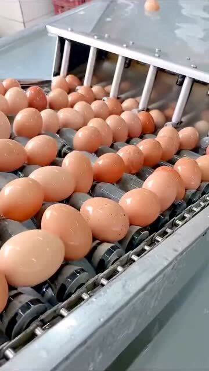 自动鸡蛋清洗打蛋设备全过程一气呵成能够节省大量人工费