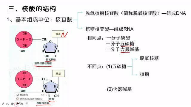 人教版高一生物必修1同步课:遗传信息的携带者,核酸