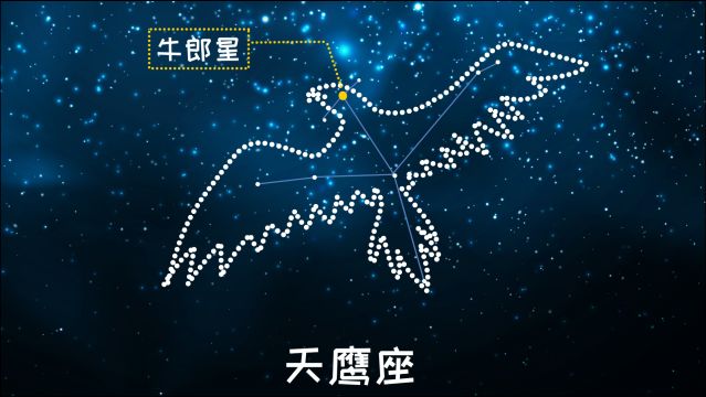 同学们,天鹰座是牛郎星所在的星座,你能在天空中找到它吗