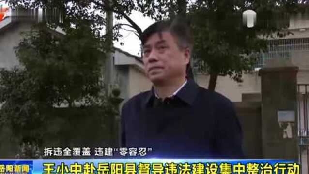 王小中赴岳阳县督导违法建设集中整治行动