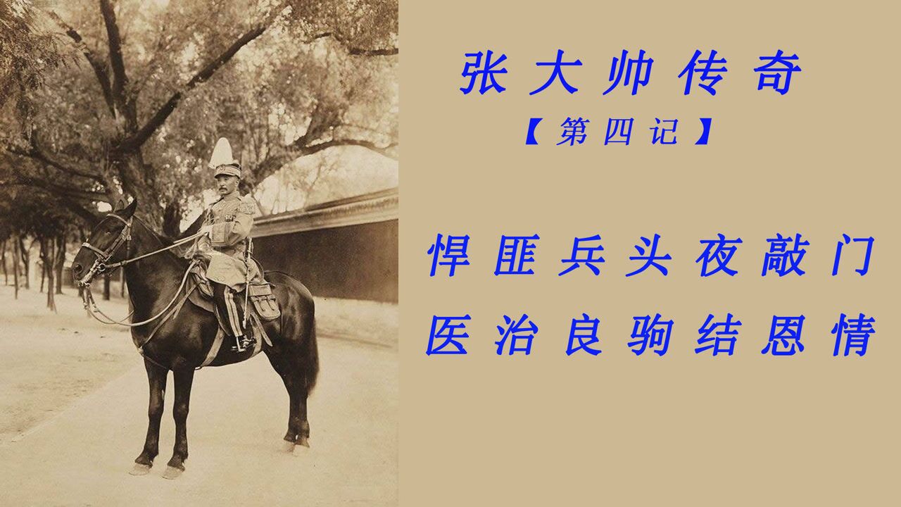 张大帅传奇悍匪兵头夜敲门医治良驹结恩情
