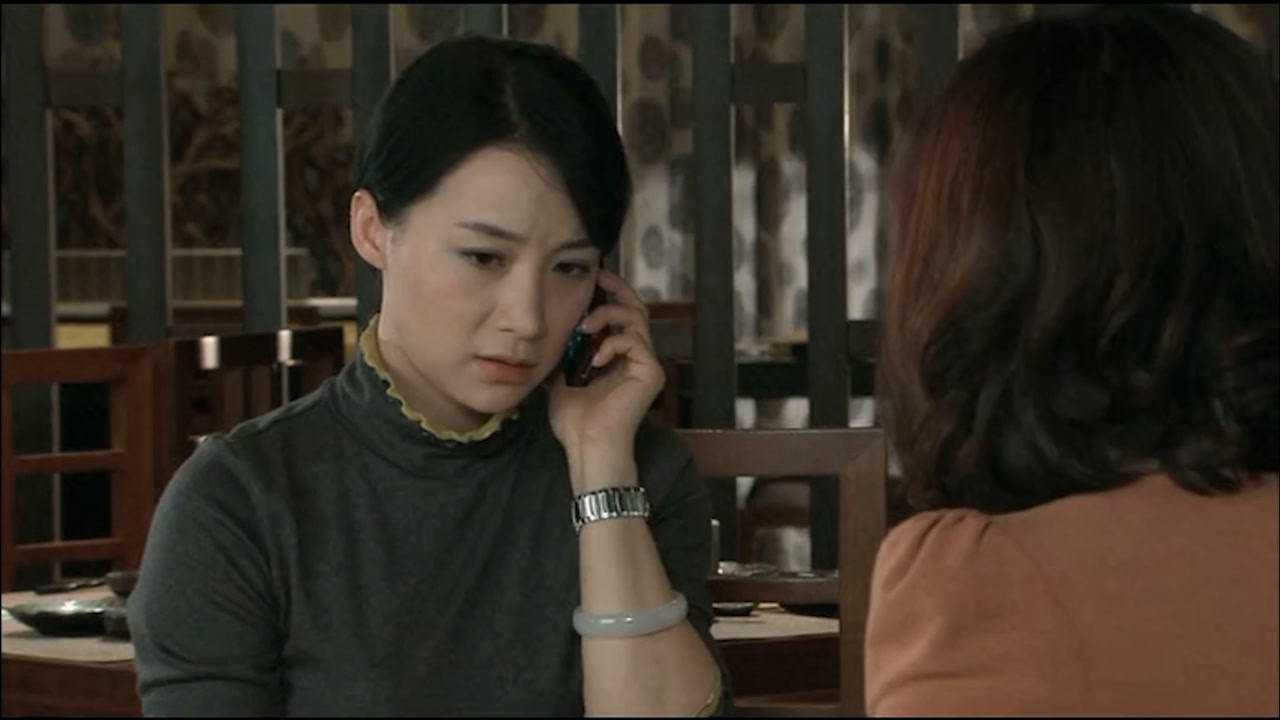 再婚进行时高飞去出差老公没当回事谁知她竟然是和前夫一起去的