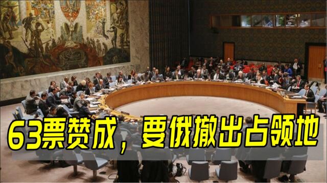 联合国最新决议,63国一边倒投下赞同票,俄:中国相助也难挽败局