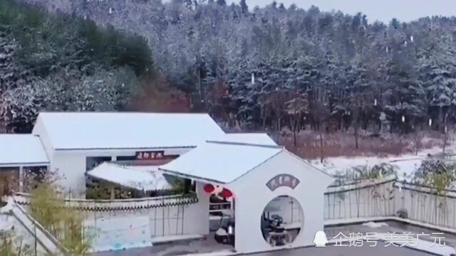 广元又下雪了!太美啦!不想和你错过广元下雪的冬天,约吗?