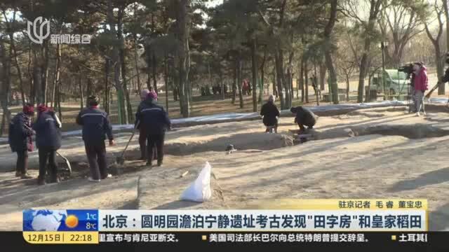 北京:圆明园澹泊宁静遗址考古发现“田字房”和皇家稻田