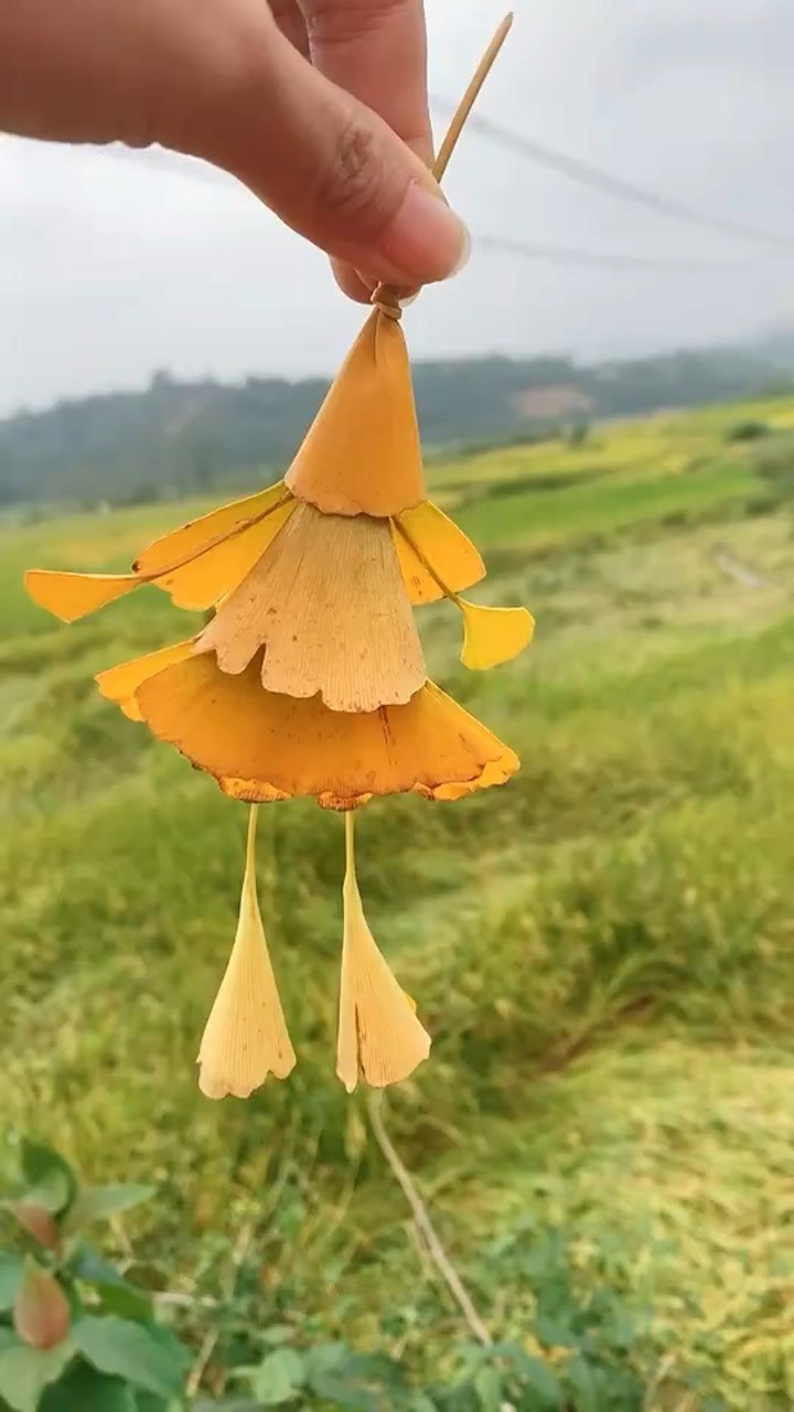 果果手工呀随便捡几片银杏叶就可以做个小人和小朋友们一起做起来吧