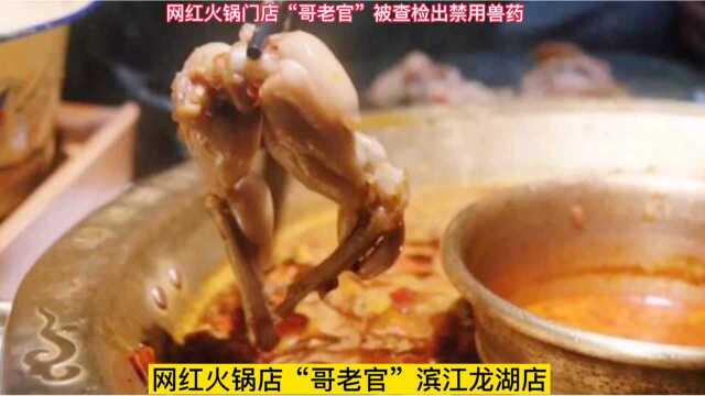 网红火锅店“哥老官”被检测出含有兽药