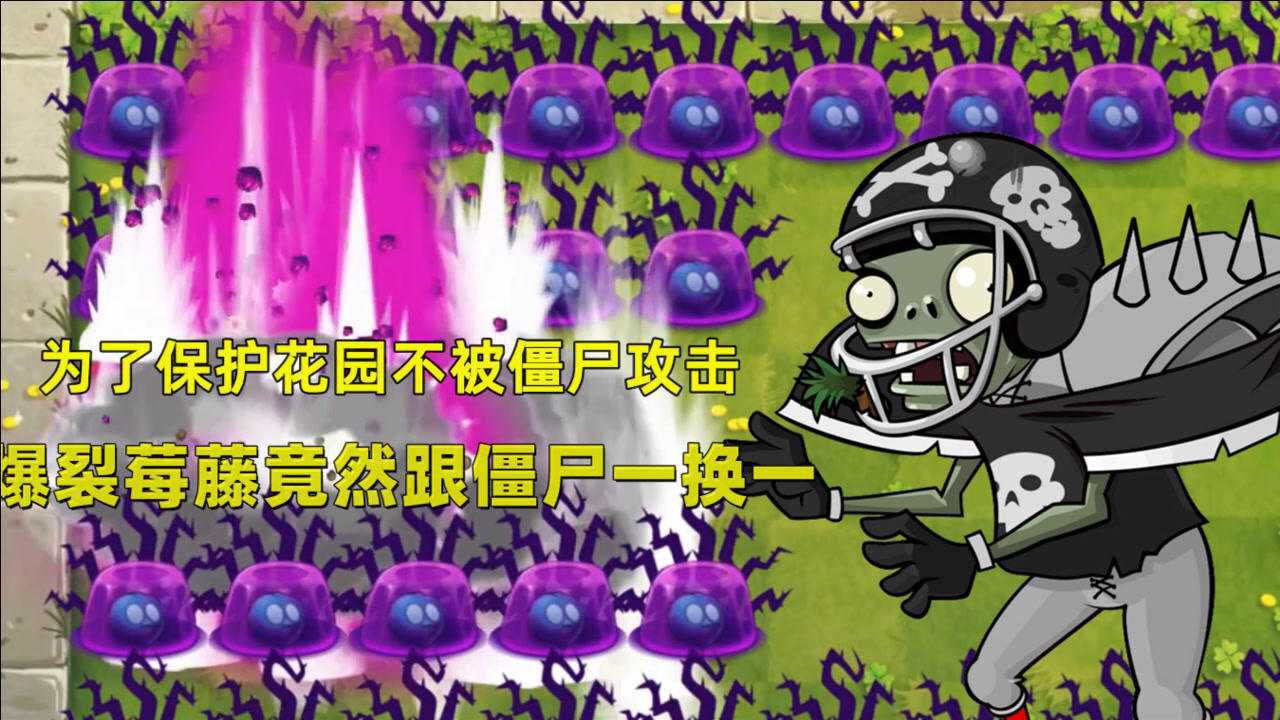 丫丫姐姐说游戏为了保护花园不被僵尸攻击爆裂莓藤竟然跟僵尸一换一