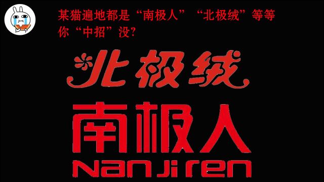 上某猫遍地都是“南极人”“北极绒”等等,你“中招”没?