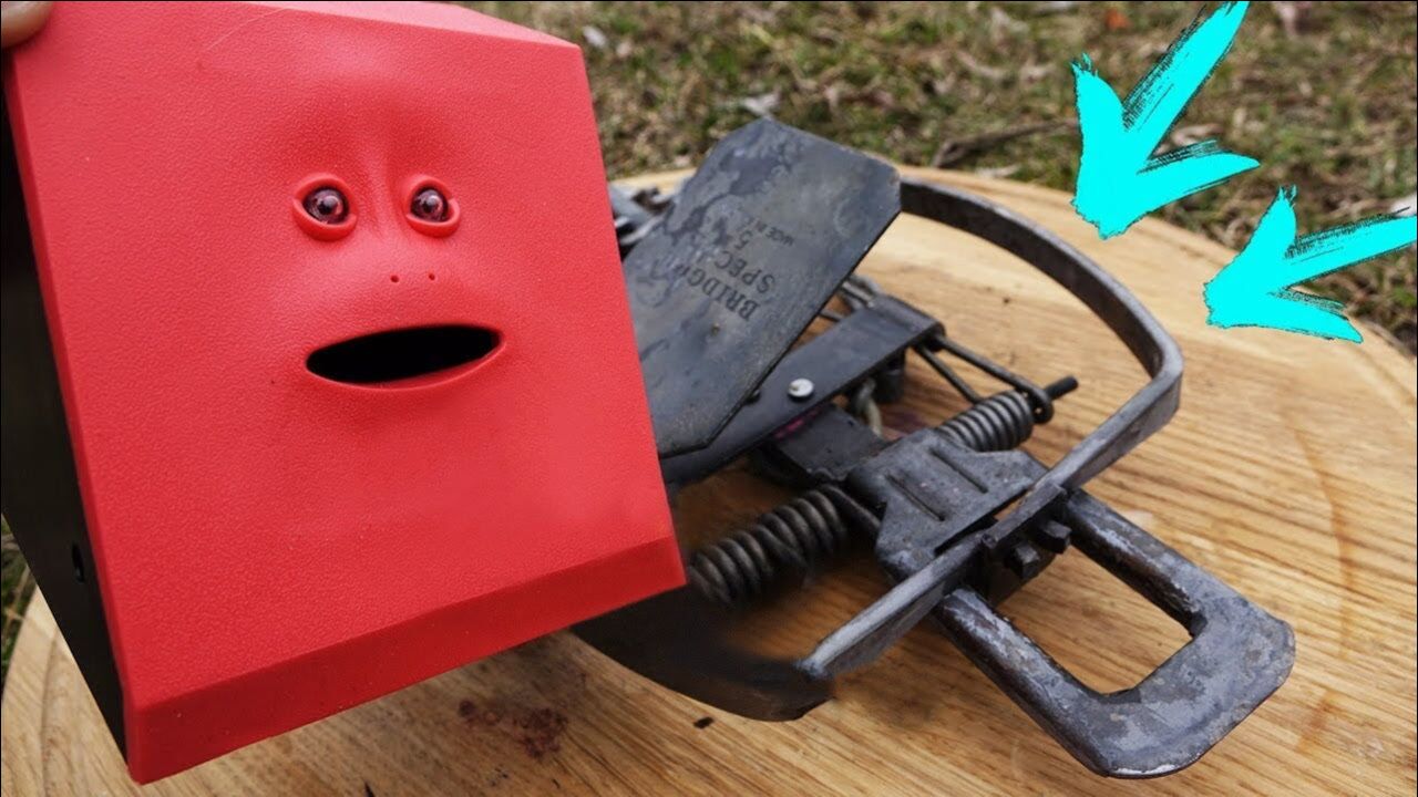 捕兽夹的威力有多大牛人用脸与之对抗结果意外了